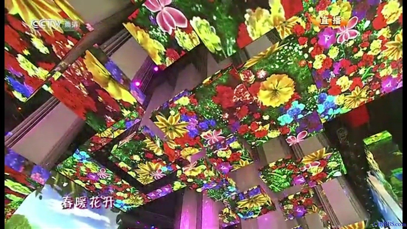 2013年蛇年春节联欢晚会那英演唱《春暖花开》