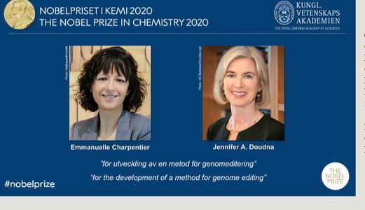开发基因编辑技术 美法两女学者共享诺贝尔化学奖2.jpg