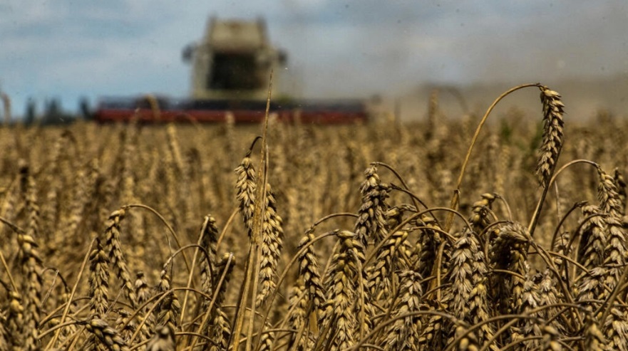 俄罗斯一举动恐再引爆粮食危机小麦期货价飙涨